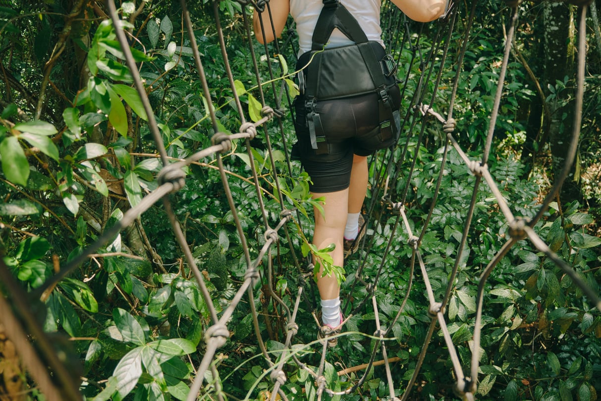 Adventure Travel: Person Going Through Forest Adventure